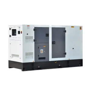 1 3 Phase Diesel Generator Silent Style ATS Remote Start 80KW 100KVA Container Type Standby