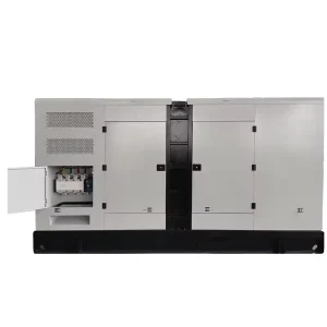 10-170kw Silent Canopy Diesel Generator with Auto Start Low Noise Water Cooled 220V/380V
