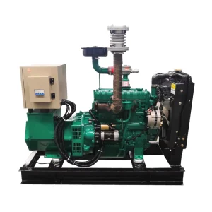 10 KW 15 KW 20 KW 25 KW 30 KW 40 KW 50 60 HZ Natural Gas Generator Set