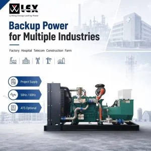 10 kW Canopy Weichai Diesel Generator Set Baudouin Engine ATS Auto Start for Shopping Mall Commercial Building Energy Saving