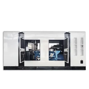 1000KW BC-1000GF Weichai Diesel Generator Set Industrial Agriculture Outdoor Breeding Industry Spare Silent Box 400/230V