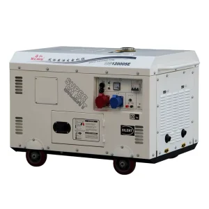 10KW 12KW 10KVA 15KVA 20KVA Silent AC DC Home Standby Power Engine Generator Set Diesel Inverter 10 17KW Generators