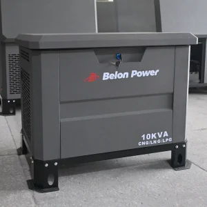 10KW-30KW Portable Tri-Fuel Generator LPG/CNG/LNG ATS Ready 3 Phase Long Service Life Prime Power