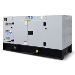 10kW EPA Diesel Generator 12.5 KVA Prime Silent Generator 20 KVA 25 kW Customized Fuel Tank