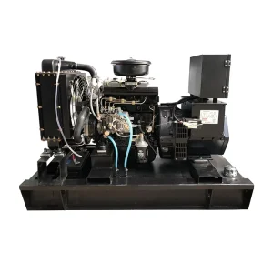 10kw Diesel Generator with Yangdong Quanchai Engine