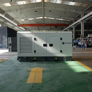 10kw Natural Gas Generator Set 13kVA Silent Canopy CNG LNG Home 3 Phase Water Cooled Industrial 50/60Hz Remote Control