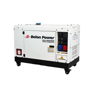 11KW Silent Soundproof Diesel Generator Sets Digital Panel Dual Power Silent Diesel Generator Standby Generator Set