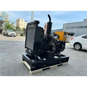 11kw 15kva 16kva 15kw 3 Phase Low Speed Biomass Stille Generator diesel 10kw lpg Generator
