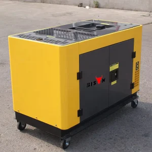 12000T 10kVA Single Phase Air Cooled Low Noise Diesel Generator Auto Start 50 60Hz Portable 220V 240V ISO
