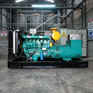120KW 150KVA Single Phase 50hz 60hz Diesel Generator Set Euro 3 Certified for Paraguay Feed Processing Plant