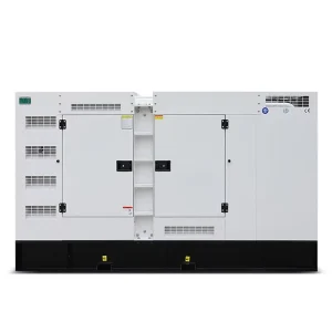 120kVA 100kVA 75kVA Silent Diesel Generator Powered by NPCummin s Engine Apartment Backup Power ATS 50kW 60kW 100kW Prime Use