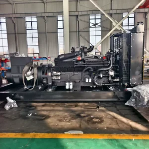 1250KVA 1000KW Cummins Auto Start ATS Low Fuel Consumption Heavy Duty Silent Diesel Generator for Industry or Commercial