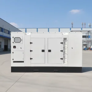 130KW Single-phase or Three-phase Silent Diesel Generator 24V DC Start Remote Control Water Cooling System IP21 1800 RPM 60Hz