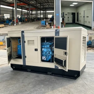 150 Kva 200 Kva 100 Kva Diesel Generator With Perkins Engine Silent Diesel Generator 50kva Cat Model