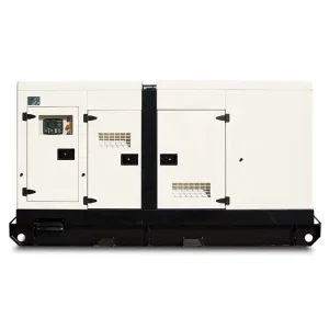 150Kw 187.5Kva Silent Diesel Generator Self Start ATS 3 Phase Customized Voltage 50HZ 60HZ for Residential Use