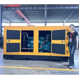 150kVA 120kW Dynamo Electric Genset 50kW 80kW 100kW Weichai Silent Generator Set Three Phase Power Silence Diesel Generators