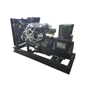 15kVA Standby Electric Diesel Generator Home Use 12KW Rated Power Open Remote Start