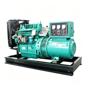 15kw Diesel Generator For Cottage Power With Manual Transfer Switch For Safe Winter Operation