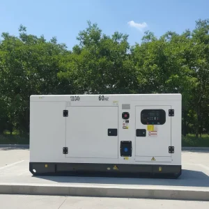 16kw 20kw 24kw 30kw 40kw Silent Diesel Generator Set Powered by Isuzu Engine 25kva 30kva 50kva Diesel Generator