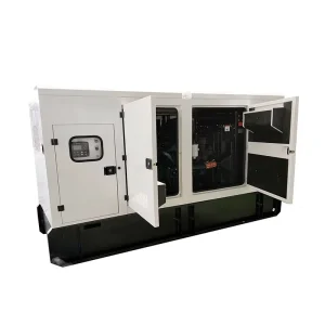 20 100Kva Diesel Genset 20Kw 30Kw 50Kva 50Kw Soundproof Backup Home Electric Power Plant 50 60Hz Frequency