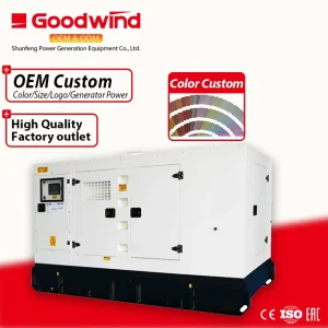 20 30 50kW 80kW 150kW Silent Type Weatherproof Custom Diesel Generator Set Standby Power Supply for Data Center Server Room