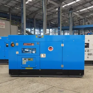 20 50kW 20 50kVA Silent Diesel Generator with ATS Auto Start German Technology Water Cooling