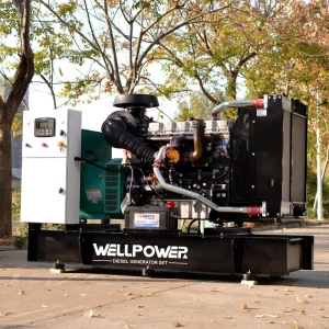 200KVA 160KW 250KVA 200KW 250KW 280KW Diesel Power Plant Portable Generators Diesel Generators for Home or Business Use