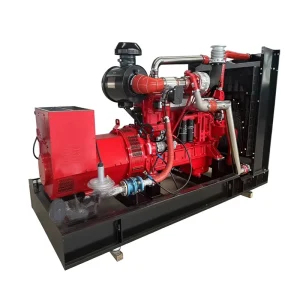 200kW 250kVA 50Hz 400V Diesel Gas Generator Set Open Frame Water Cooling High Efficiency for Mining Construction