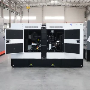 200kW 250kVA Silent Open Frame Diesel Generator with Weichai Diesel Engine