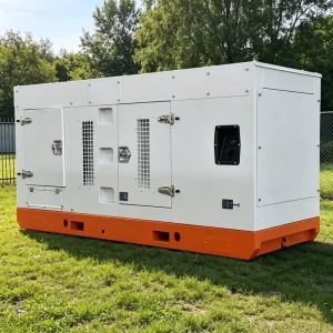 200kW 250kVA Super Silent Diesel Generator Low Noise 75dB Automatic Transfer Switch with 8 Hour Tank for Farm Residential