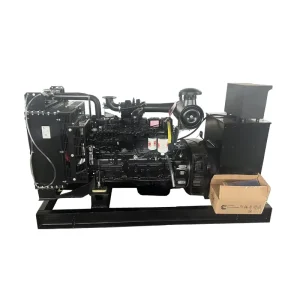 200kva/250kva/300kva Silent Diesel Generator Set with Cumins Engine Single Alternator Three Phase 220-480V 50/60Hz