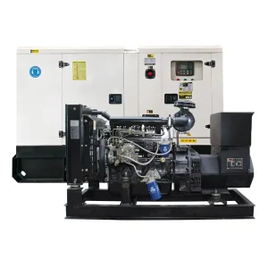 20KVA Diesel Generator Set for Yangdong 16KW 4 Cylinder Natural Aspiration Engine for Commercial Backup