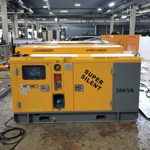 20KVA Super Silent Diesel Generator Set Home Use 1Phase 220V 50 60Hz 4 Stroke Air Cooled 1500rpm Recoil Start ATS Auto
