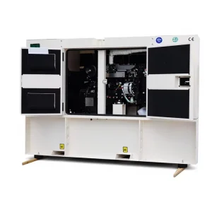 20KVA~150KVA Genset 50/60HZ Water Cooling 20kw Diesel Generator 30kw for Home