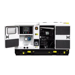 20KW 30KW 50KW 200KW Low Noise Brushless Diesel Generator with ATS Copper Alternator Silent Canopy Automatic Intelligent Control