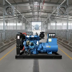 20KW 30kW 50KW Super Silent Diesel Generator for Farm Construction Backup Power