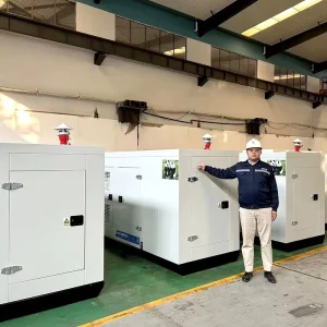 20KW 50KW Diesel Generator CUMMINS WEICHAI Engine CNMC China Supplier Home Use