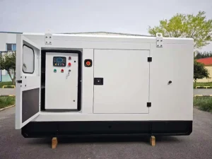 20KW Diesel Generator ATS Auto Start 50Hz Emergency Power Genset For Villa Home Indonesia Thailand Malaysia Southeast Asia