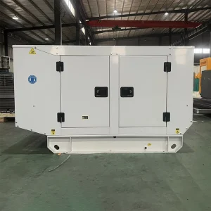 20kW-75kVA 3 Phase Home Use Silent Diesel Generator Auto Start Open Frame 50/60Hz Ricardo DC ATS