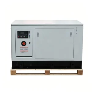 20kW Natural Gas Generator Set Three Phase Gas Genset Gas Engine Generator for Commercial and Industrial Power Supply