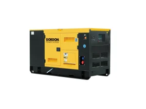 20kw 25kva Silent Open Frame Diesel Generator 50 60Hz Single Phase ATS for Engine