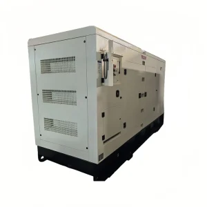 20kw750Kw 1000Kw 1250Kw 1500Kva 2000Kva Silent Diesel Generator 4 Cylinder Heavy Duty Prime Power Three Phase
