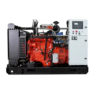 220V DC30kw Natural Gas LPG Syngas Generator Equipment Auto Start Electric Water Cooling 95% Efficiency
