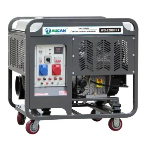 22kva Air Cooled Diesel Generator Auto Start Generator Two Cylinder Diesel Generator 20kva