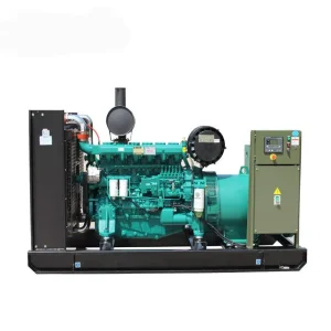 24V DC Electric Start 20kw 25kva WP20GF Water Cooled Open Diesel Generator 110V 220V 380V 50 60Hz 1 Year Warranty CE ISO9001