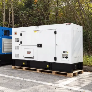 24kw 25kw 30kw 40kw 48kw 60kw 68kw 75kw 80kw 100kw 4 6 Cylinder Cummings Perkings Weichai Yuchai Silent Diesel Generator