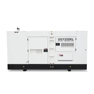 250 KVA Generator Set 200 KW Electric Power with Stamford Alternator