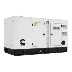 250KVA Silent Type Diesel Generator Three Phase Power Plant 40KW 60KW 100KW 150KW Options