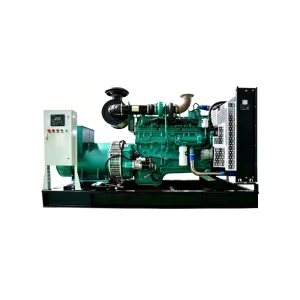 250KW 312.5KVA 3 Phase Open Frame Diesel Generator Set Standard Mining Area Continuous Power Convenient Maintenance