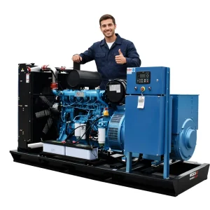 250KW 325KVA WEICHAI Silent Diesel Generator Parallel Operation Auto Start ATS Low Fuel 50/60Hz African Farm Irrigation Crop